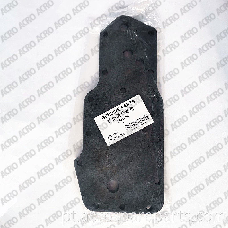 3863699 Filter Head Gasket